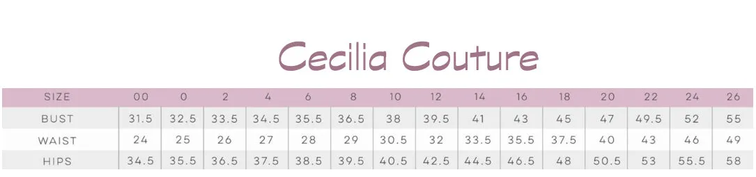 Cecilia Couture 1484 Ivory Floral Embroidered A-Line Dress