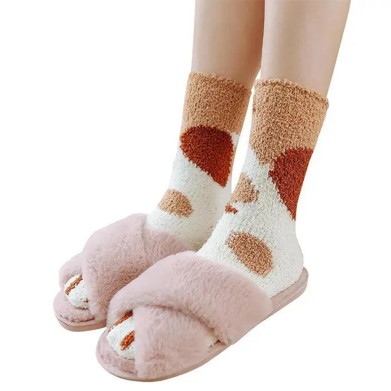 New House socks